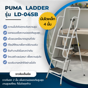 บันไดเหล็กพื้นยืนมีราวจับและราวกันตก4ขั้น LD-04SB