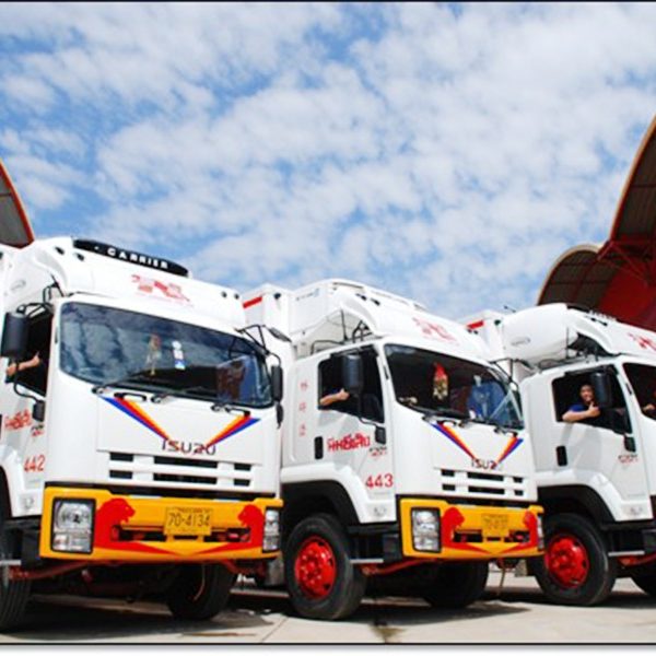 บริษัท NIM TRANSPORT 1988 CO.,LTD บริษัท NIM TRANSPORT 1988 CO.,LTD