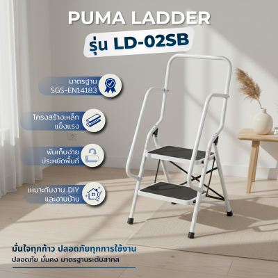 บันไดเหล็กพื้นยืนมีราวจับและราวกันตก2ขั้น